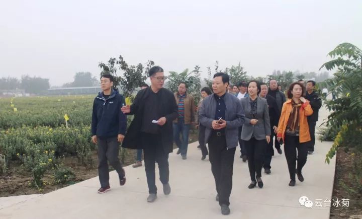 云臺冰菊基地發(fā)生了什么？一批批領導專家團隊前來！